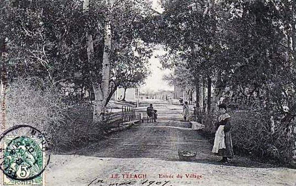 Telagh 15.jpg